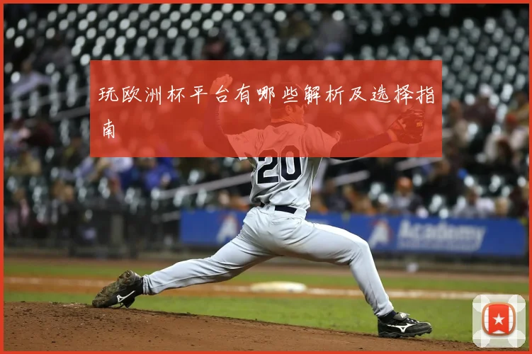 玩欧洲杯平台有哪些解析及选择指南