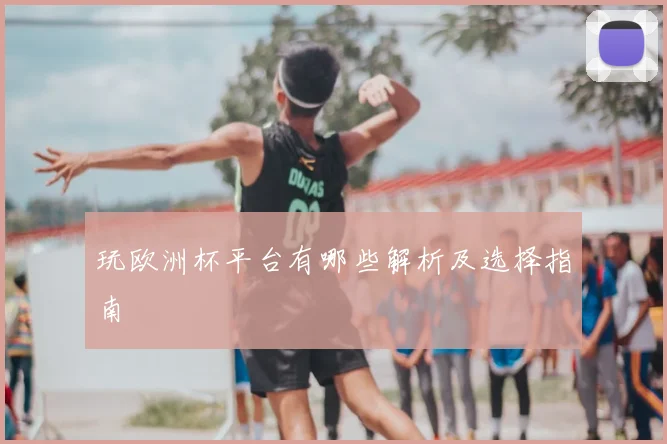 玩欧洲杯平台有哪些解析及选择指南