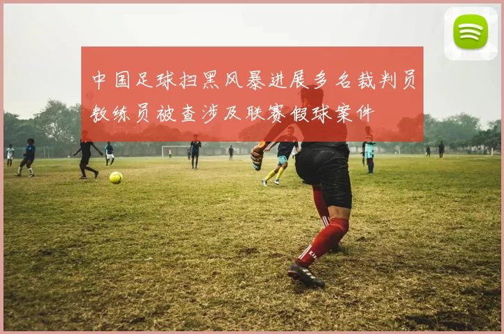 中国足球扫黑风暴进展多名裁判员教练员被查涉及联赛假球案件